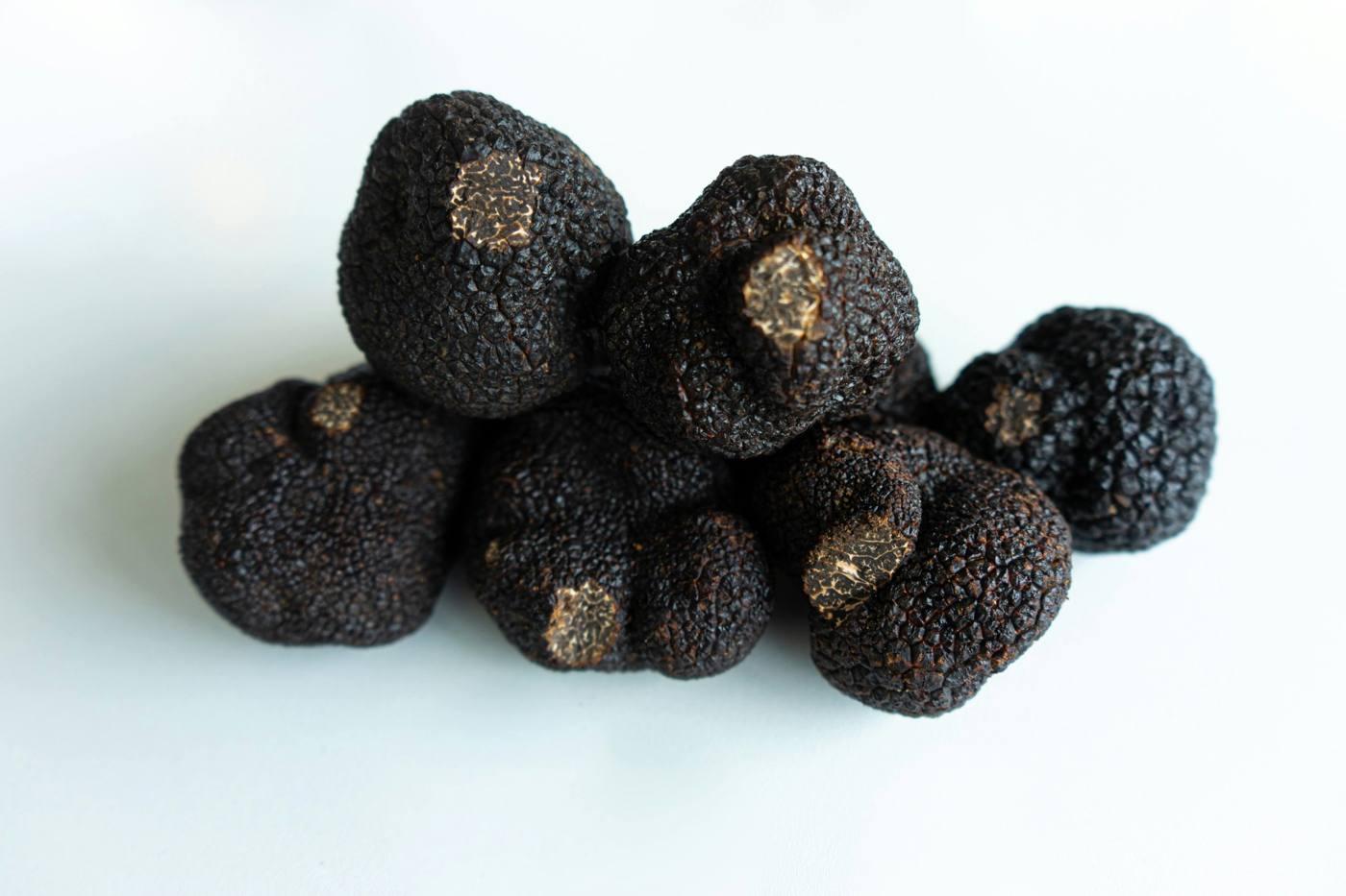 Truffle Powder of fresh Périgord black truffle